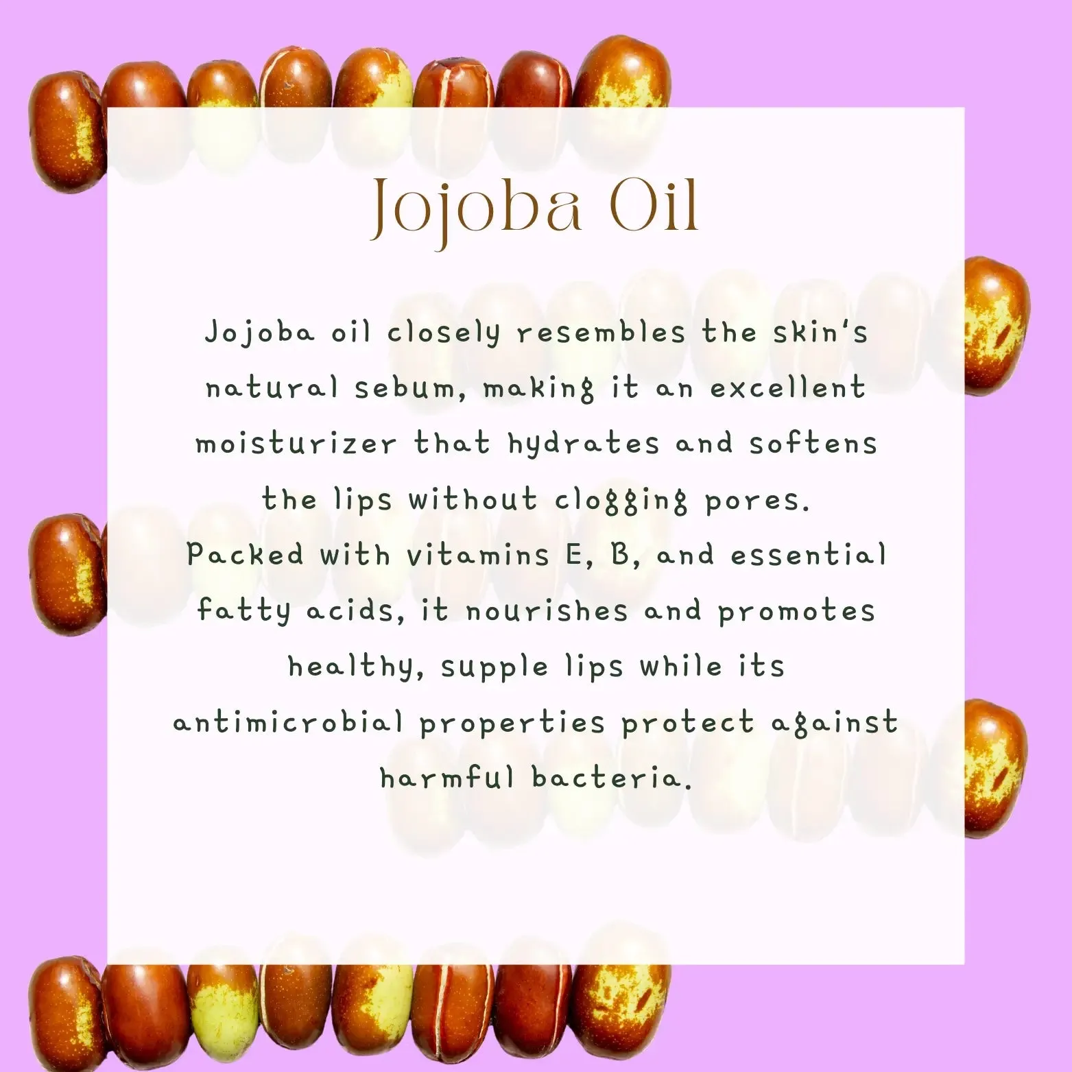 April Belgian Chocolate & Jojoba Lip Balm