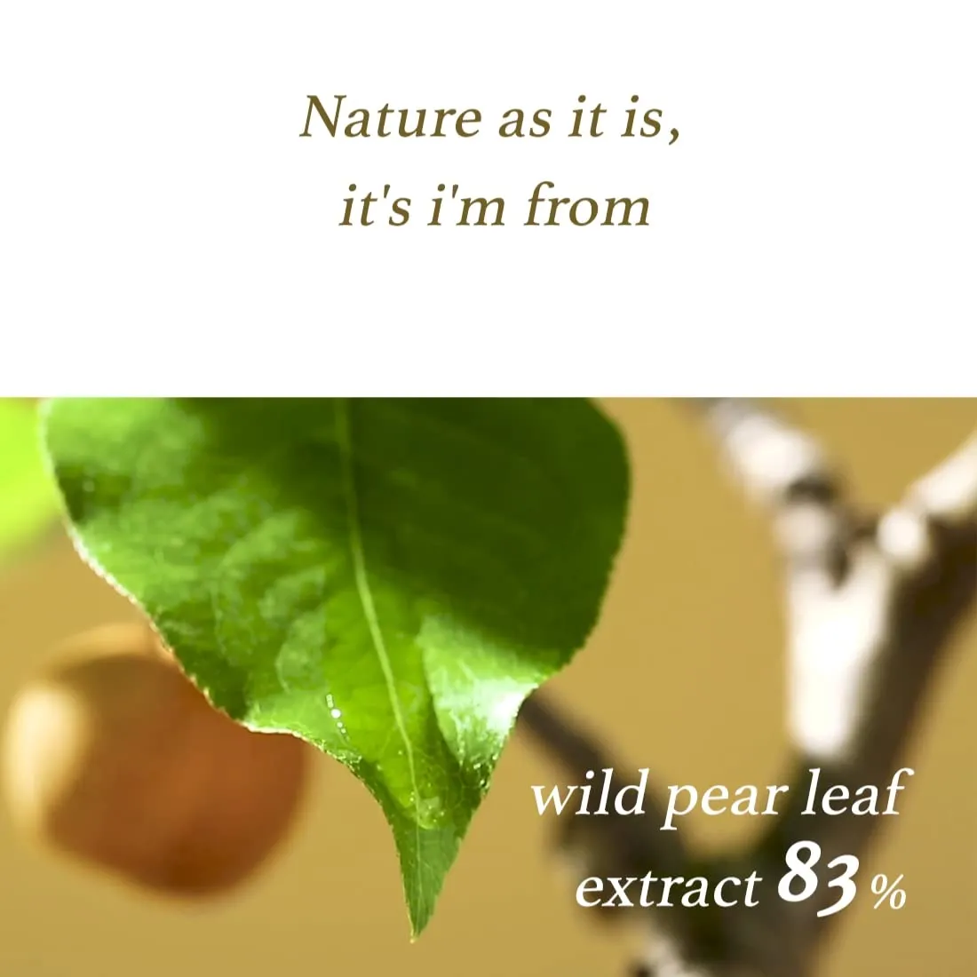 I'm From  Pear Serum - 50ml