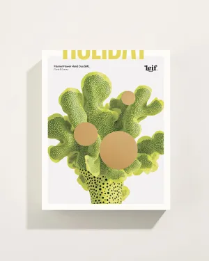 Leif 'Holiday Edition Small' - Flannel Flower Hand Duo