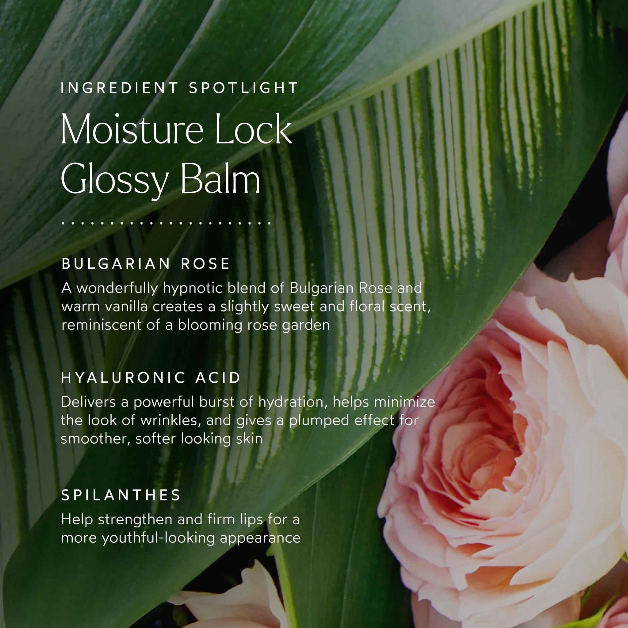 Moisture Lock Glossy Balm