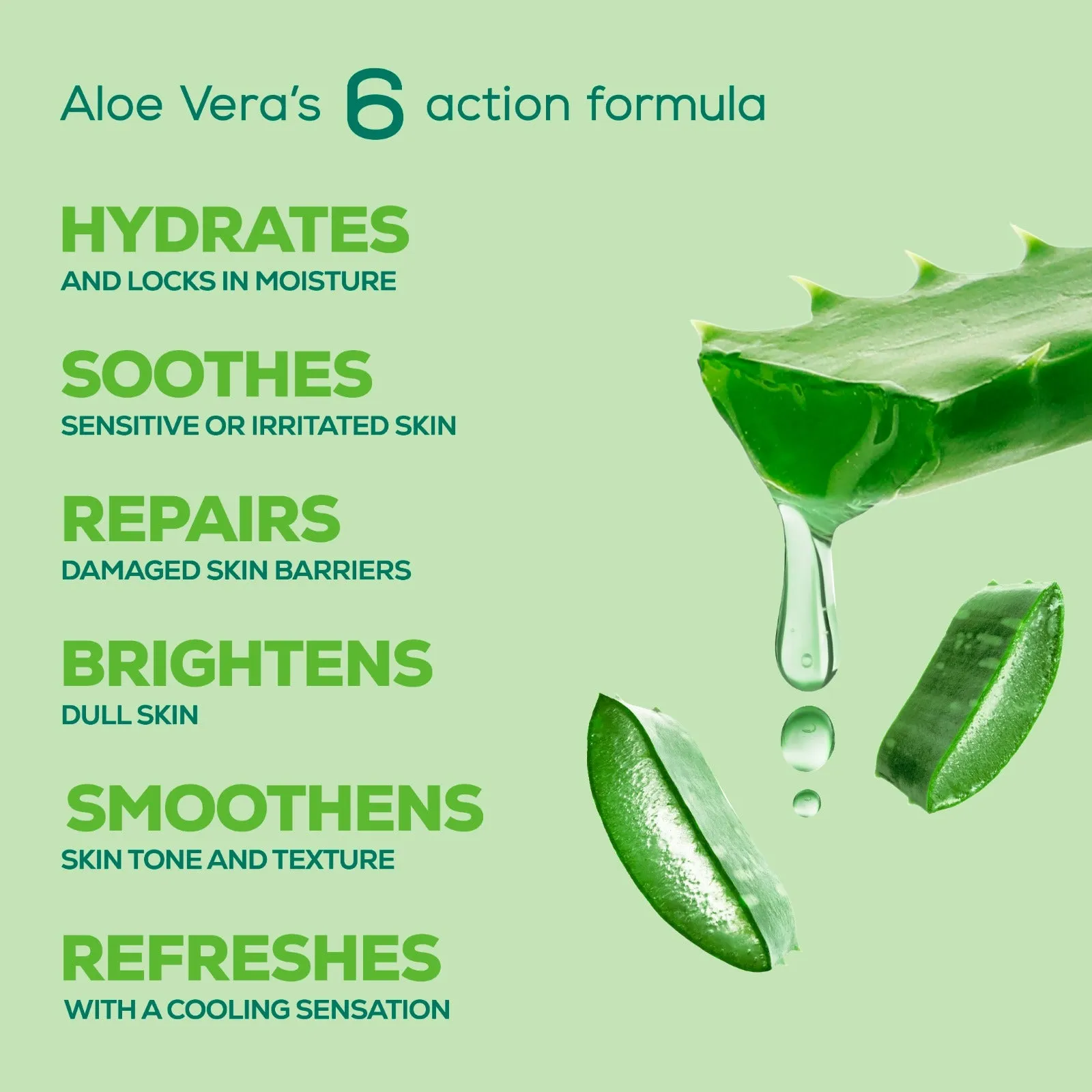 Pure Aloe Multi-Benefit Body Lotion