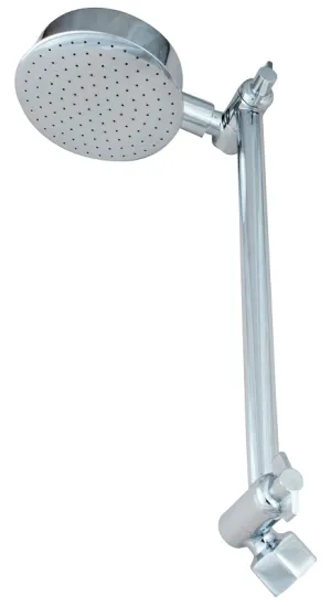 Whedon Elephant Series SRW2C Shower Head, 1/2 in Connection, Female, Brass, Chrome, 3-1/2 in Dia :EA: QUANTITY: 1